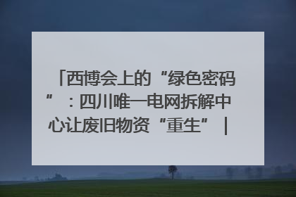 西博会上的“绿色密码”：四川唯一电网拆解中心让废旧物资“重生”｜西博寻“新”记