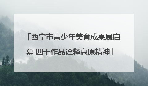 西宁市青少年美育成果展启幕 四千作品诠释高原精神
