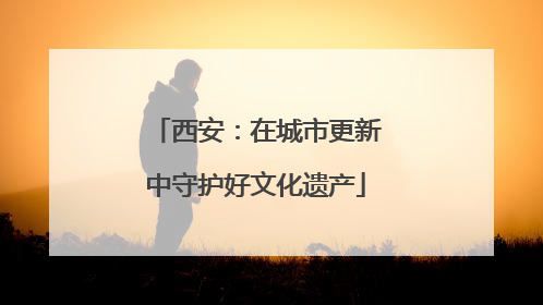 西安：在城市更新中守护好文化遗产