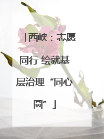 西峡：志愿同行 绘就基层治理“同心圆”