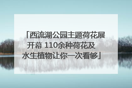 西流湖公园主题荷花展开幕 110余种荷花及水生植物让你一次看够