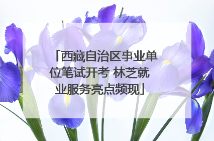 西藏自治区事业单位笔试开考 林芝就业服务亮点频现