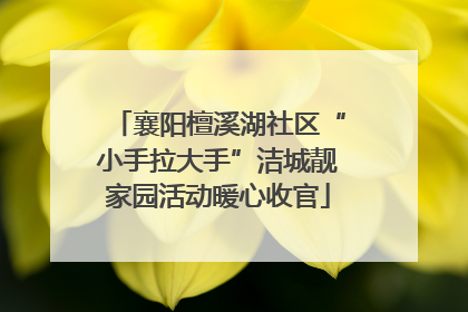 襄阳檀溪湖社区“小手拉大手”洁城靓家园活动暖心收官