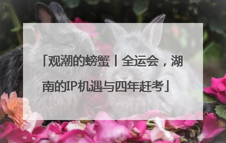 观潮的螃蟹丨全运会，湖南的IP机遇与四年赶考