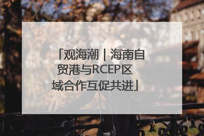 观海潮｜海南自贸港与RCEP区域合作互促共进