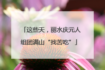 这些天，丽水庆元人组团满山“找苦吃”