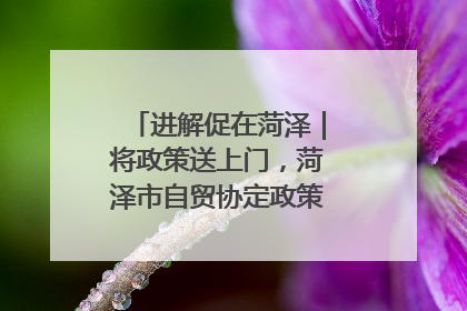 进解促在菏泽｜将政策送上门，菏泽市自贸协定政策专题宣讲会召开