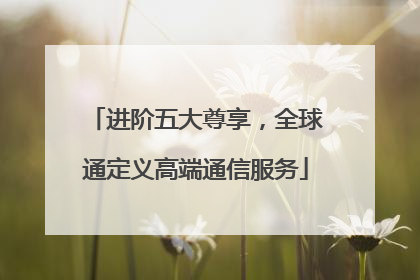 进阶五大尊享，全球通定义高端通信服务