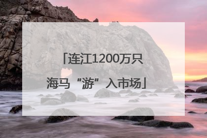 连江1200万只海马“游”入市场