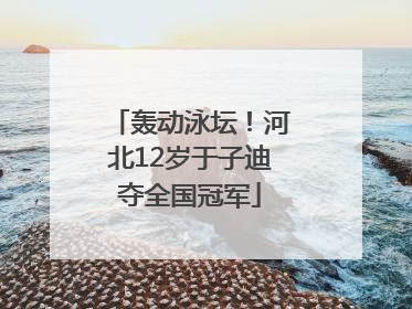 轰动泳坛！河北12岁于子迪夺全国冠军