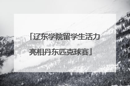 辽东学院留学生活力亮相丹东匹克球赛