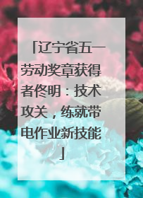 辽宁省五一劳动奖章获得者佟明：技术攻关，练就带电作业新技能