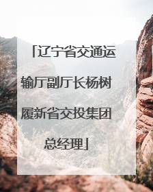 辽宁省交通运输厅副厅长杨树履新省交投集团总经理