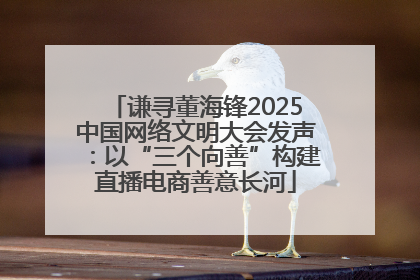 谦寻董海锋2025中国网络文明大会发声：以“三个向善”构建直播电商善意长河