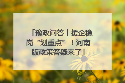 豫政问答丨援企稳岗“划重点”！河南版政策答疑来了