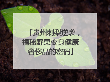 贵州刺梨逆袭，揭秘野果变身健康奢侈品的密码