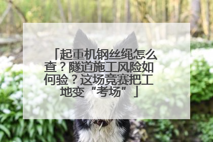 起重机钢丝绳怎么查？隧道施工风险如何验？这场竞赛把工地变“考场”