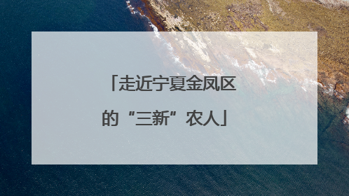 走近宁夏金凤区的“三新”农人