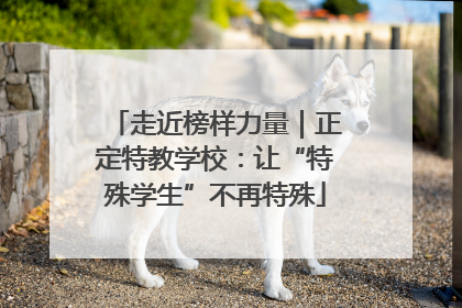 走近榜样力量｜正定特教学校：让“特殊学生”不再特殊