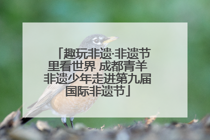 趣玩非遗·非遗节里看世界 成都青羊非遗少年走进第九届国际非遗节