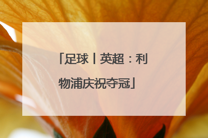 足球丨英超：利物浦庆祝夺冠