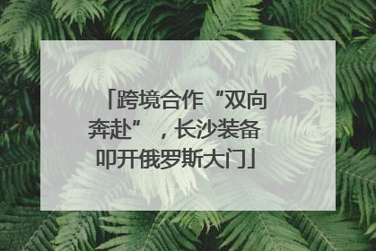 跨境合作“双向奔赴”，长沙装备叩开俄罗斯大门