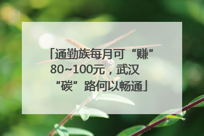 通勤族每月可“赚”80~100元，武汉“碳”路何以畅通