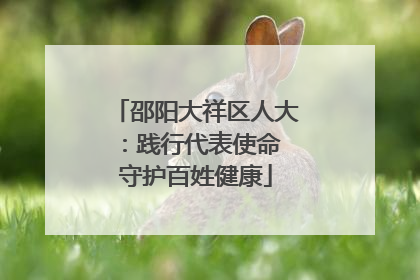 邵阳大祥区人大：践行代表使命 守护百姓健康