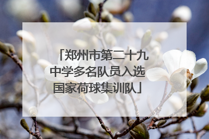 郑州市第二十九中学多名队员入选国家荷球集训队