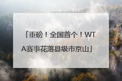 重磅！全国首个！WTA赛事花落县级市京山