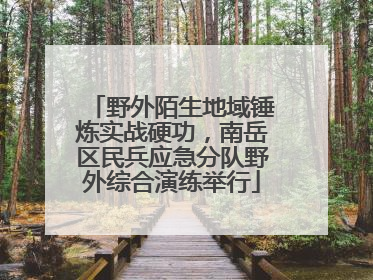 野外陌生地域锤炼实战硬功，南岳区民兵应急分队野外综合演练举行