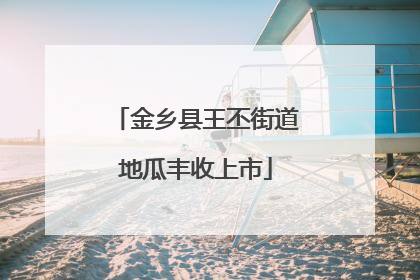 金乡县王丕街道地瓜丰收上市