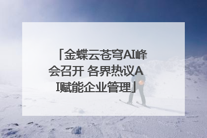 金蝶云苍穹AI峰会召开 各界热议AI赋能企业管理