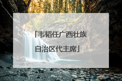 韦韬任广西壮族自治区代主席