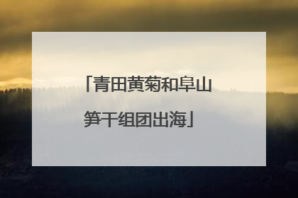 青田黄菊和阜山笋干组团出海