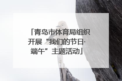 青岛市体育局组织开展“我们的节日·端午”主题活动