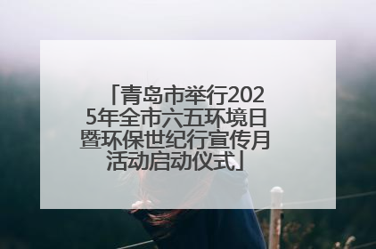 青岛市举行2025年全市六五环境日暨环保世纪行宣传月活动启动仪式