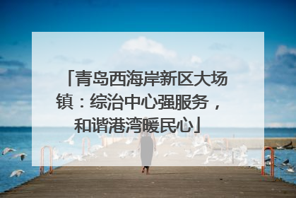 青岛西海岸新区大场镇：综治中心强服务，和谐港湾暖民心