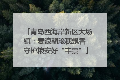 青岛西海岸新区大场镇：麦浪翻滚穗飘香 守护粮安好“丰景”
