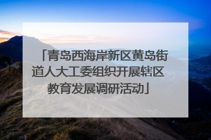 青岛西海岸新区黄岛街道人大工委组织开展辖区教育发展调研活动