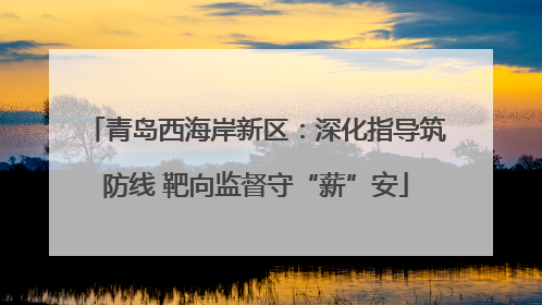 青岛西海岸新区：深化指导筑防线 靶向监督守“薪”安