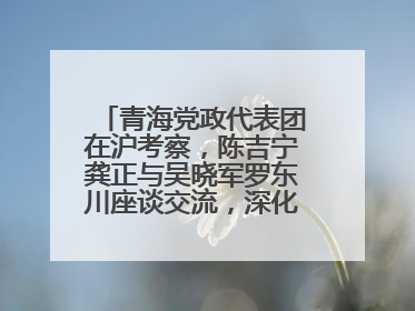 青海党政代表团在沪考察，陈吉宁龚正与吴晓军罗东川座谈交流，深化合作对接