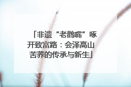 非遗“老鹳嘴”啄开致富路：会泽高山苦荞的传承与新生