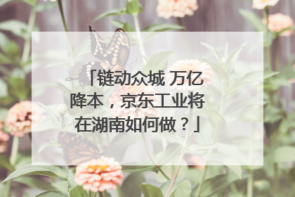 链动众城 万亿降本，京东工业将在湖南如何做？
