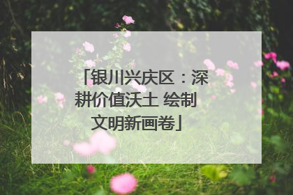 银川兴庆区：深耕价值沃土 绘制文明新画卷