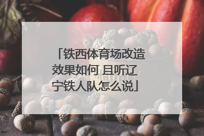 铁西体育场改造效果如何 且听辽宁铁人队怎么说
