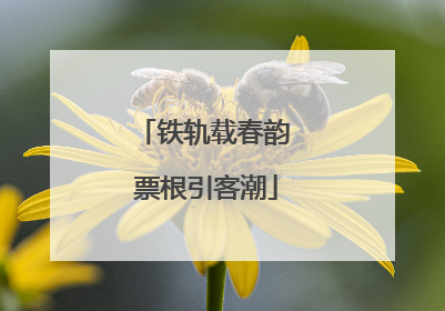 铁轨载春韵 票根引客潮