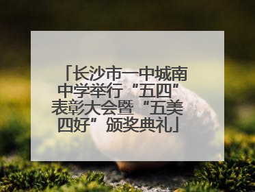 长沙市一中城南中学举行“五四”表彰大会暨“五美四好”颁奖典礼