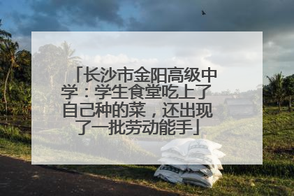 长沙市金阳高级中学：学生食堂吃上了自己种的菜，还出现了一批劳动能手