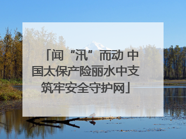 闻“汛”而动 中国太保产险丽水中支筑牢安全守护网